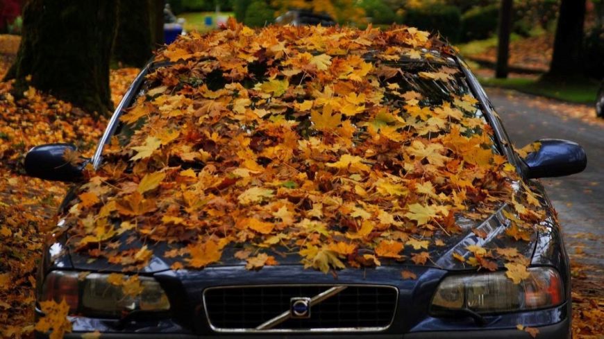 Tengo mi coche parado y pierde anticongelante ¿Por qué?